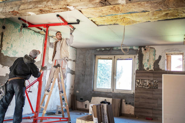 Best Geographic-Specific Insulation Services in Grain Valley, MO